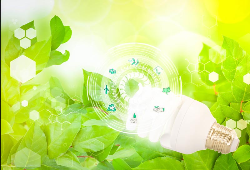 Programa Amigos do Meio Ambiente - Global UV